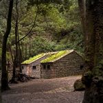 casa de hansel y gretel