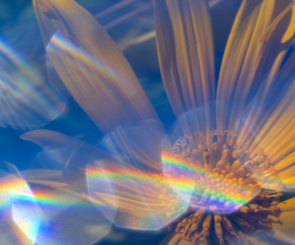 Mas allá de la cámara